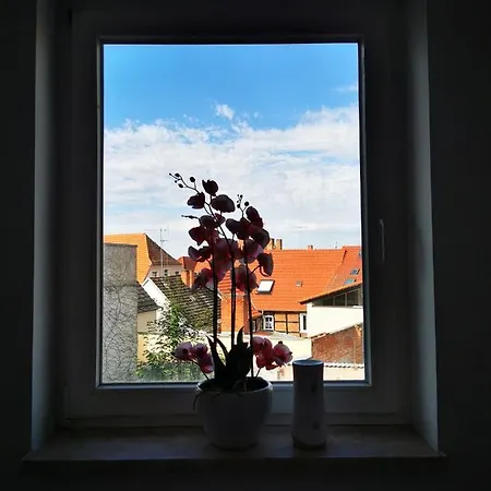 Am Rathaus Und No11 Havelberg