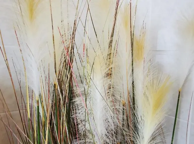 Am Rathaus Und No11 *